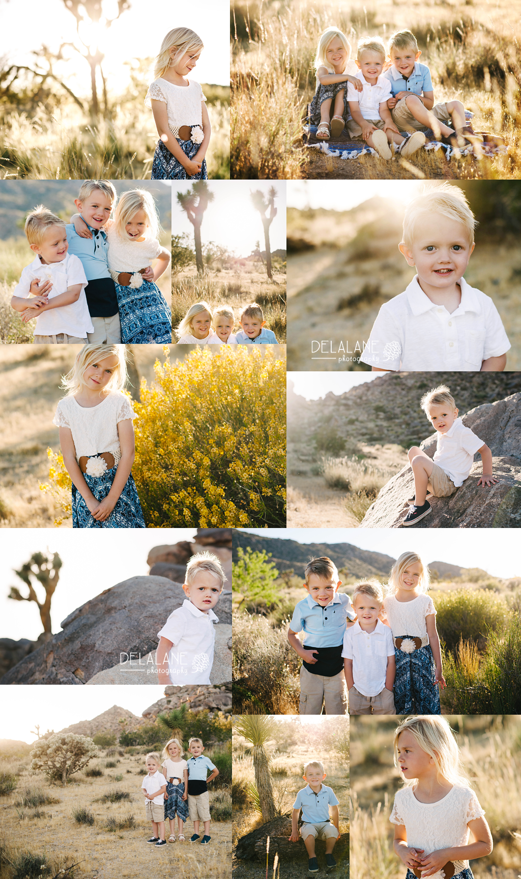 Joshua Tree Photographer | Towheads and Sunshine